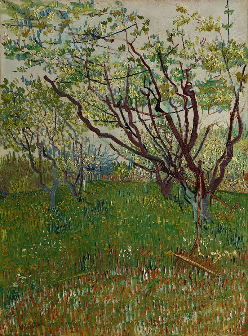 The Flowering Orchard