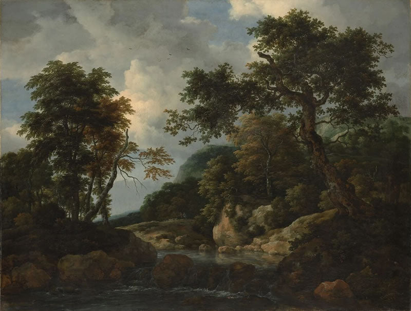 The Forest Stream