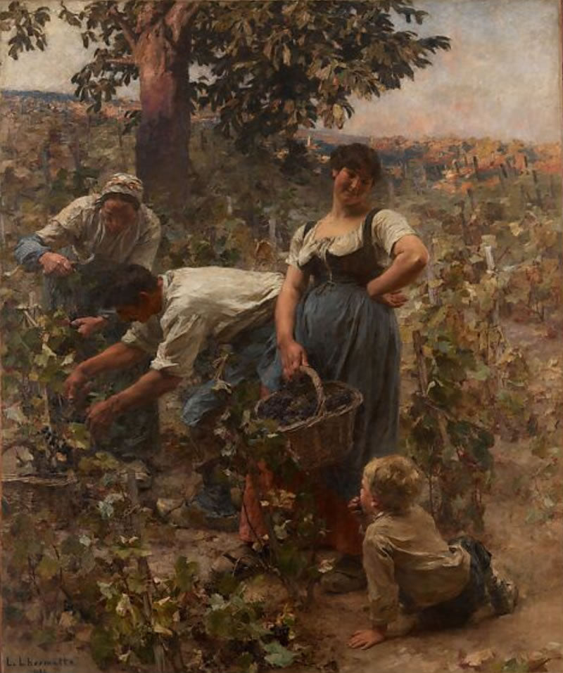 The Grape Harvest