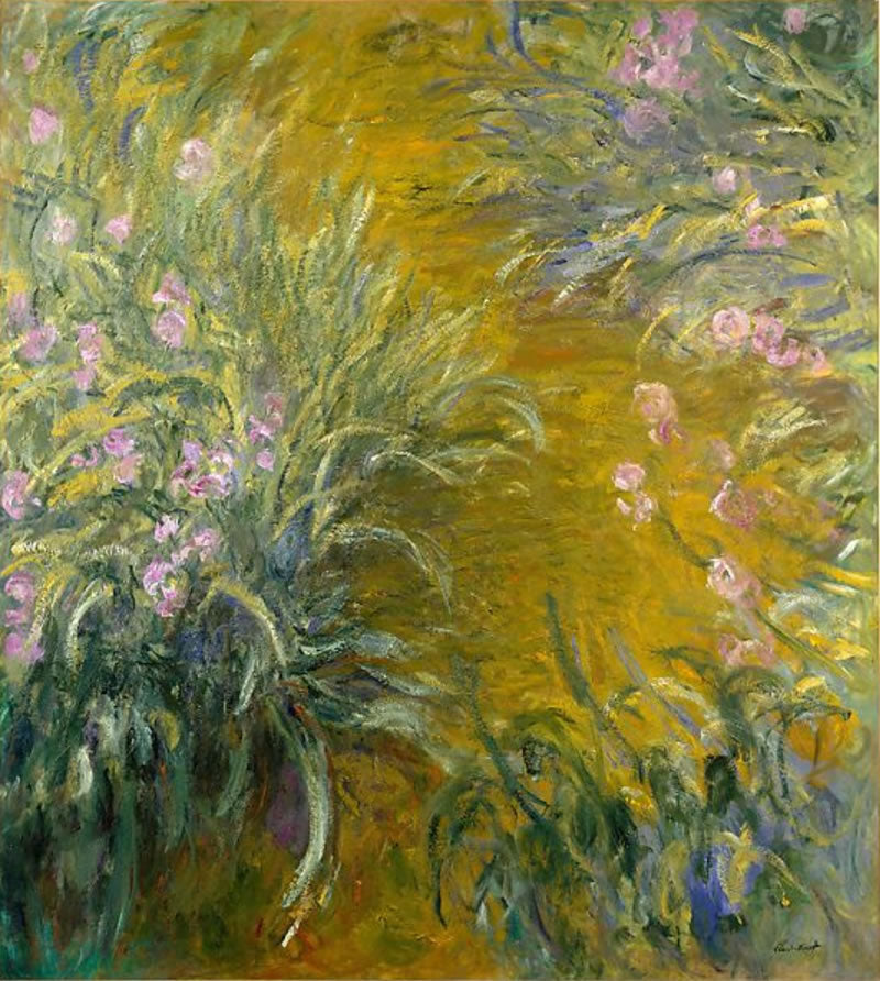 The Path through the Irises
