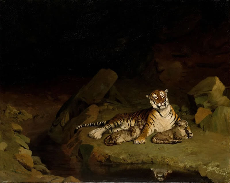 Tiger and Cubs