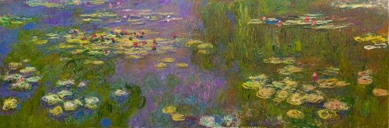 Water Lilies (Nymphéas)