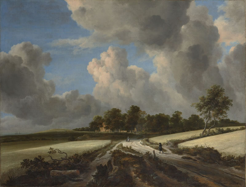 Wheat Fields