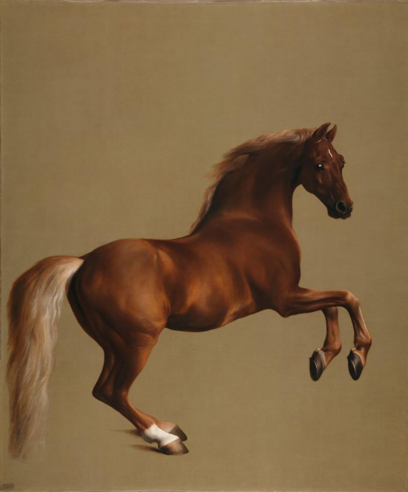 Whistlejacket