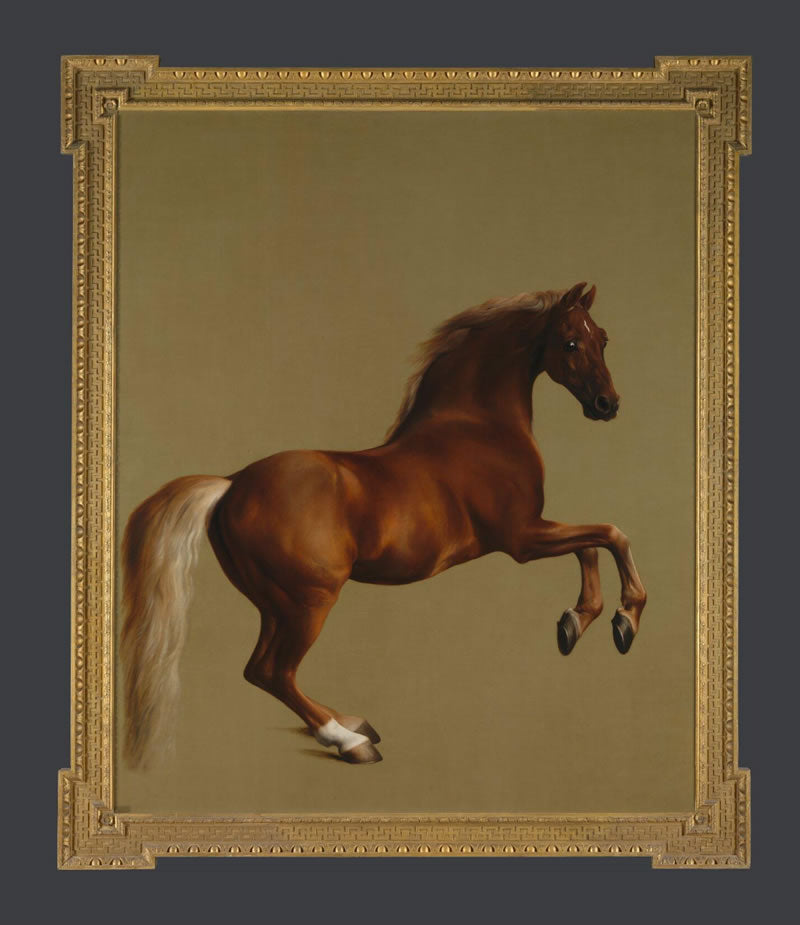 Whistlejacket