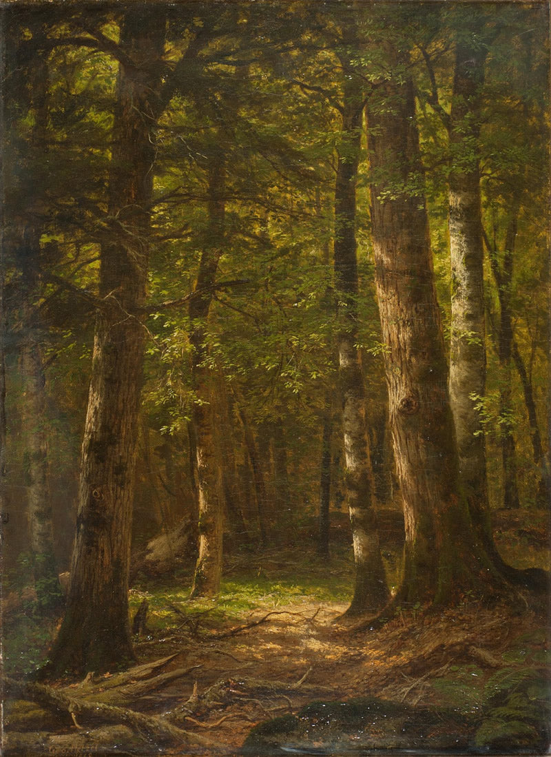 Woodland Path