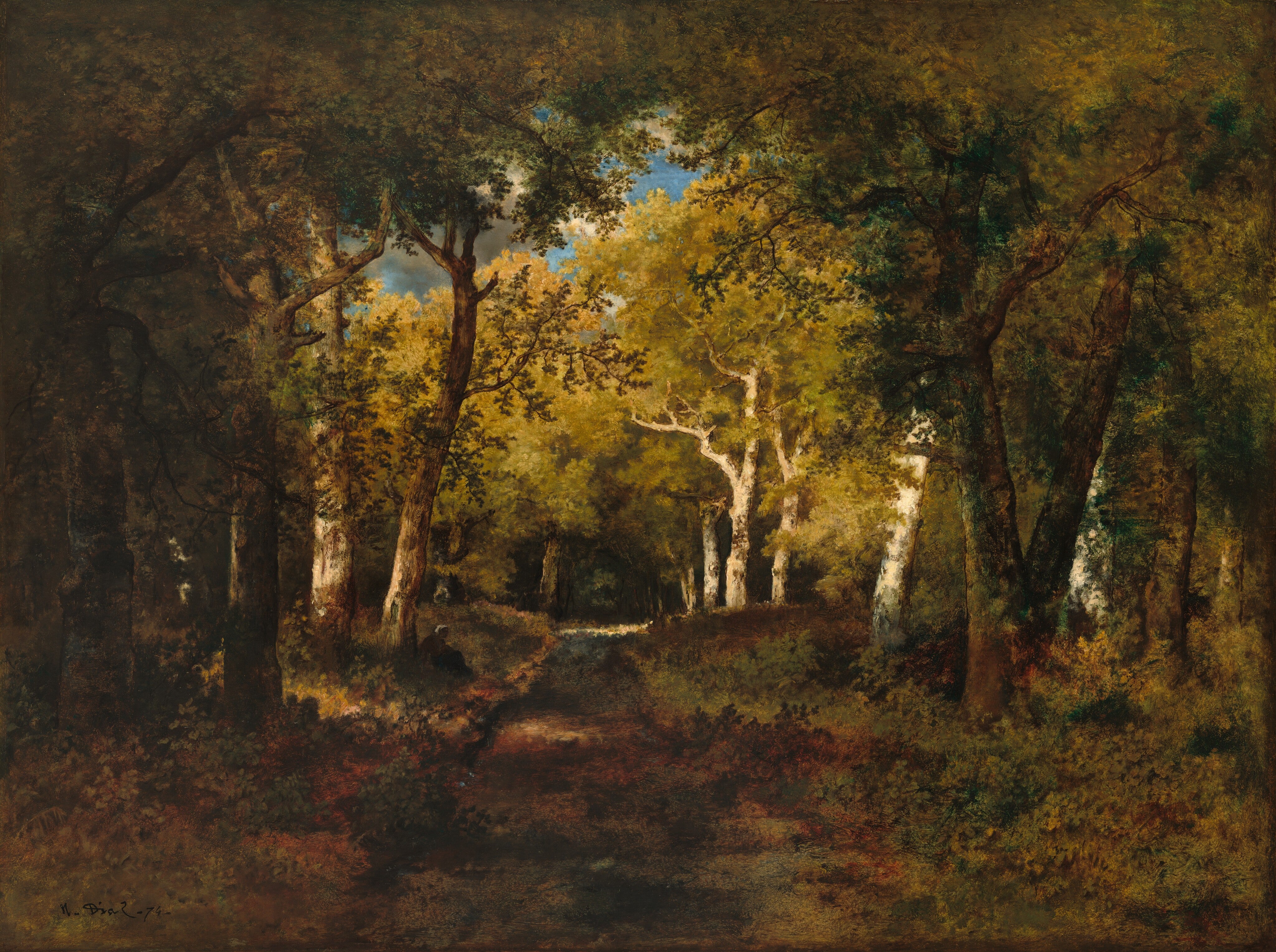 In the Forest