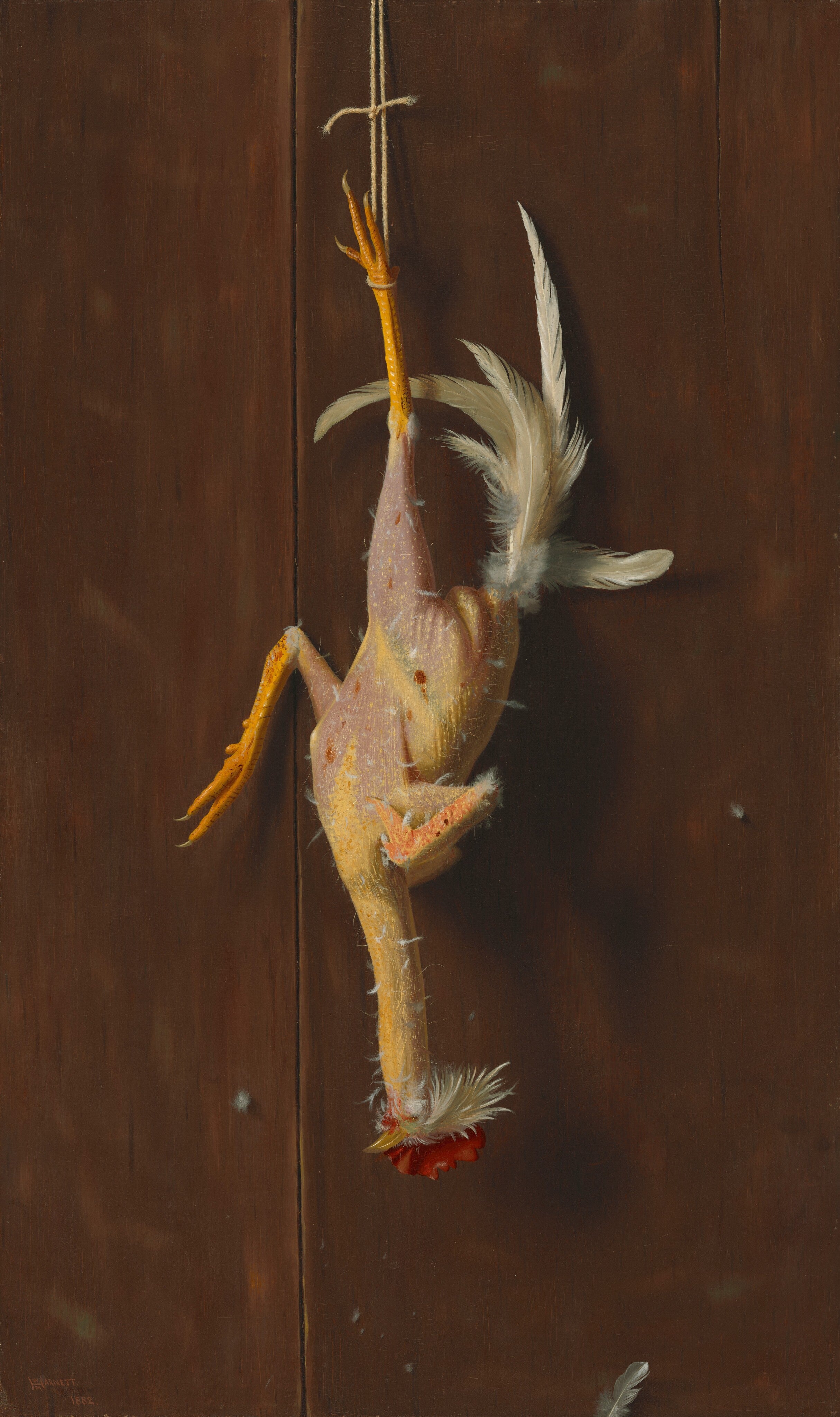 Plucked Clean