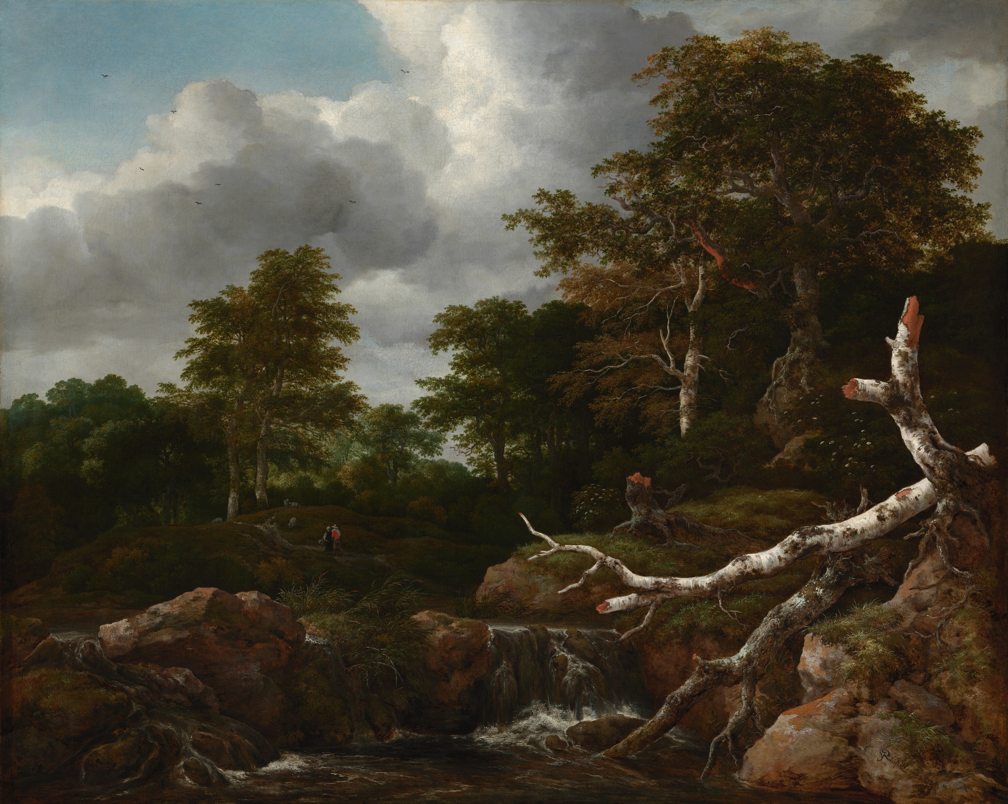 Forest Scene