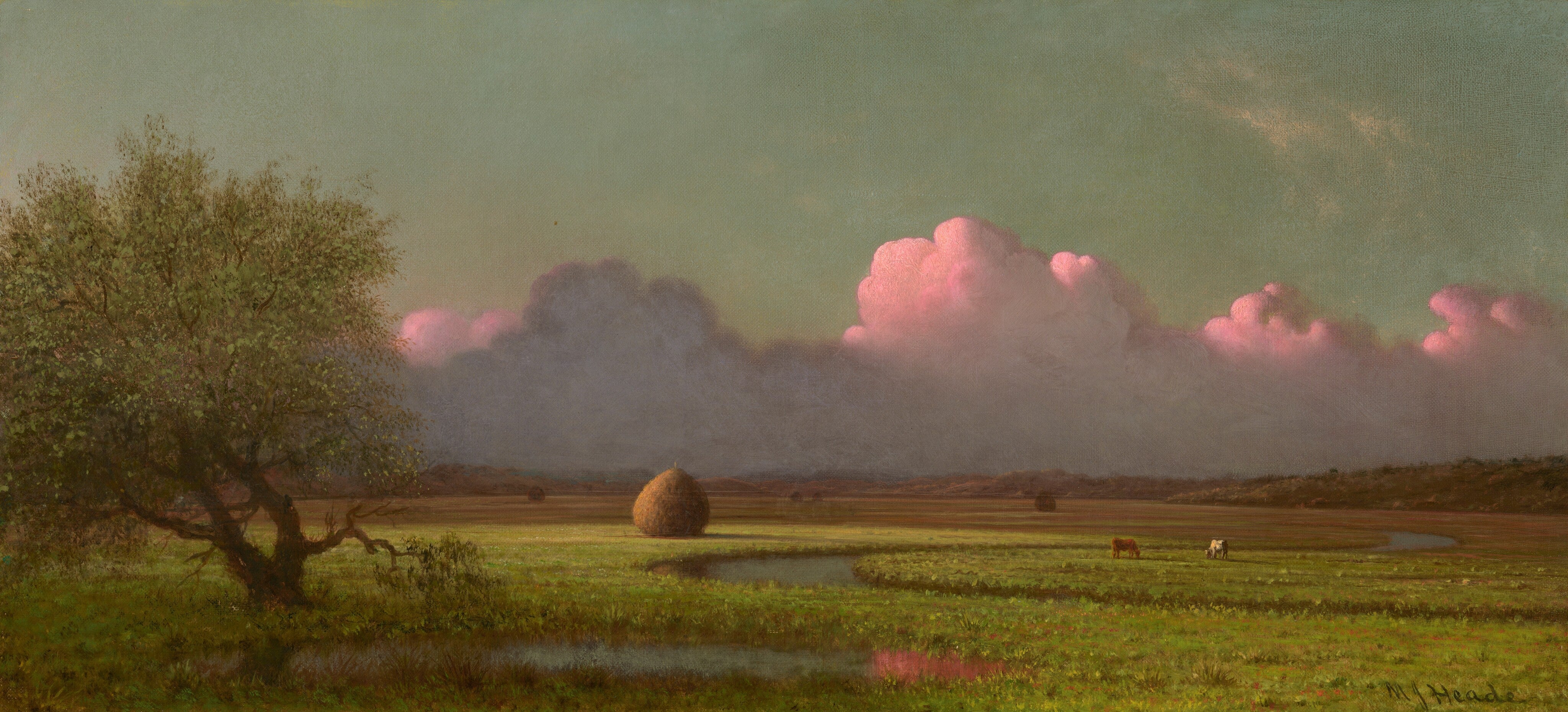 Sunlight and Shadow: The Newbury Marshes