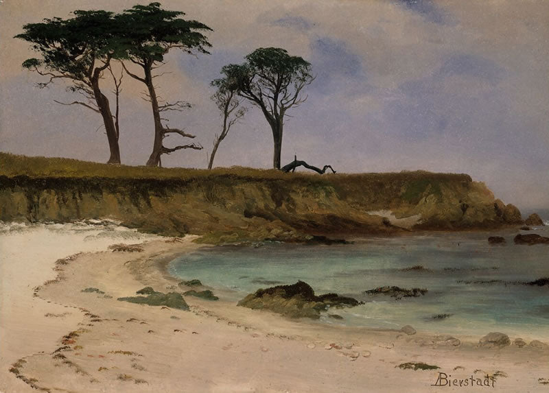 Sea Cove